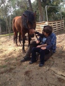 equinoterapia-3